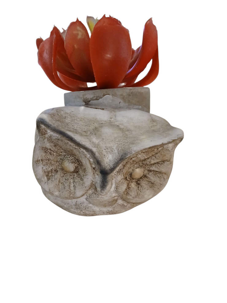 Small owl planter
