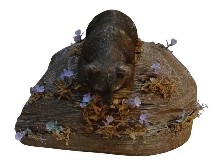 Bear looking over rock