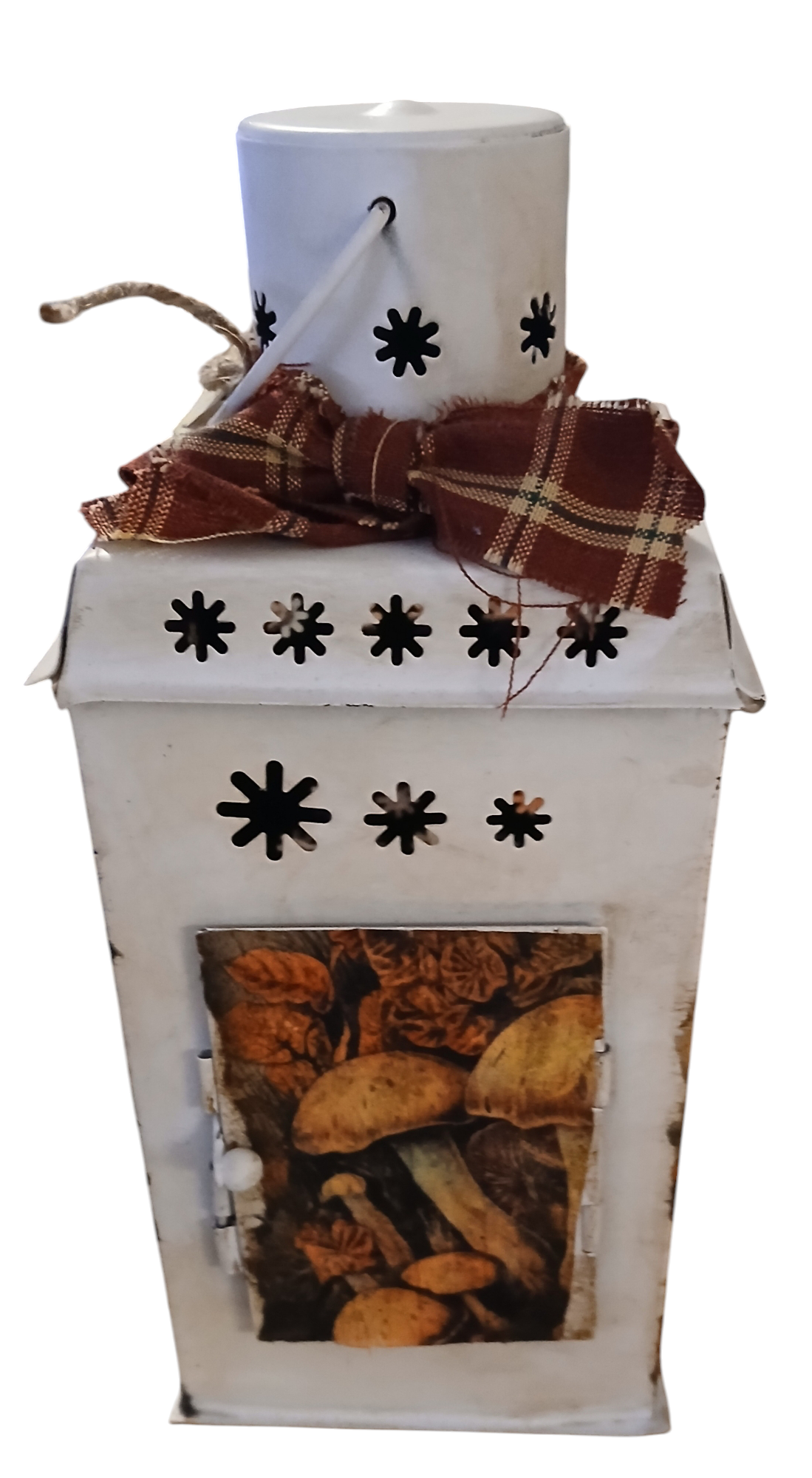 Metal lantern with Mushroom decor