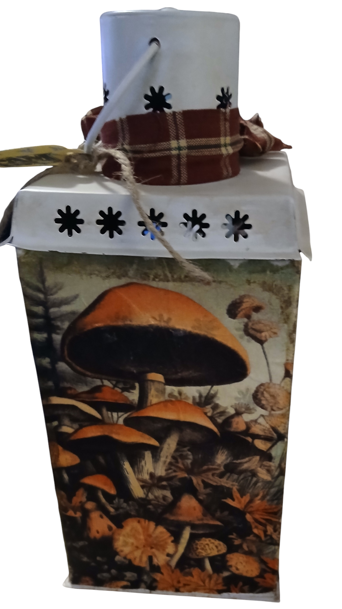 Metal lantern with Mushroom decor