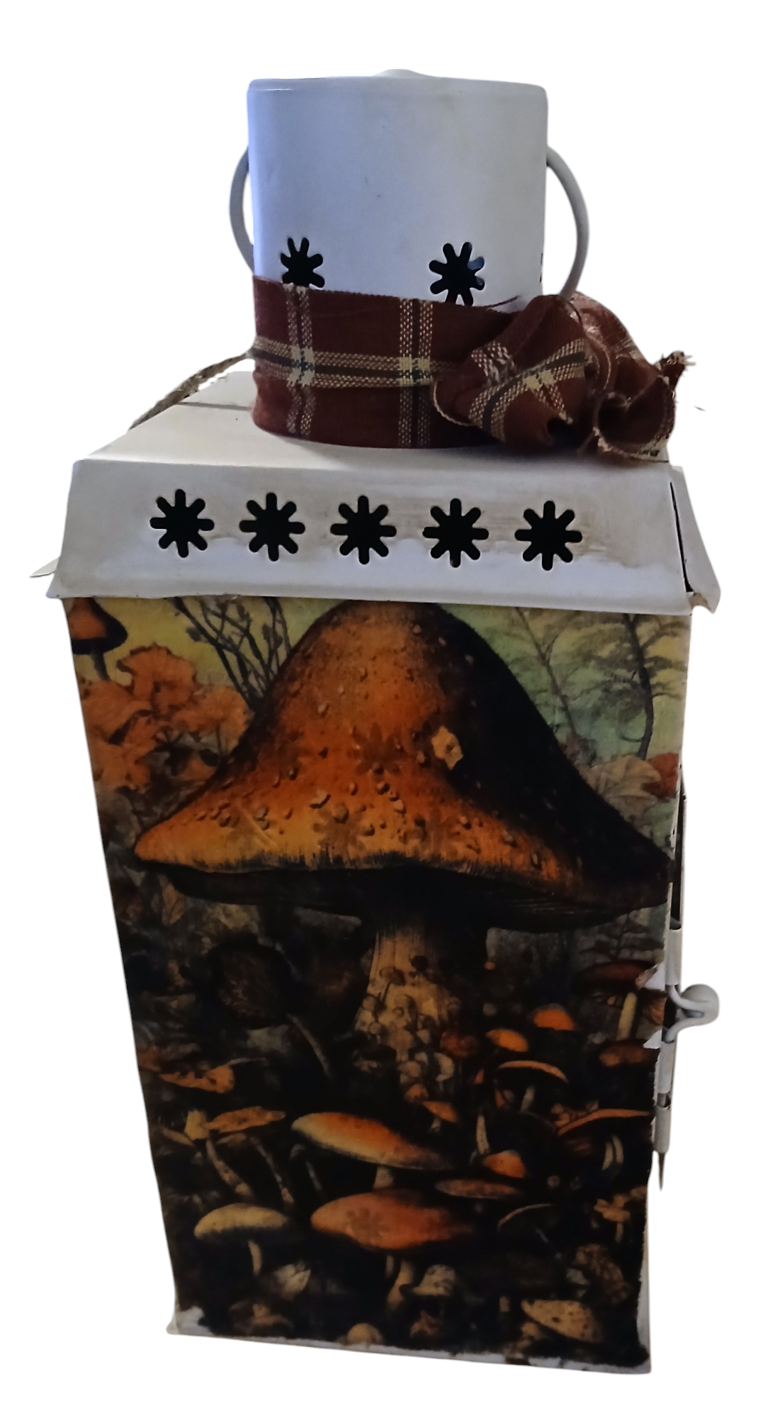 Metal lantern with Mushroom decor