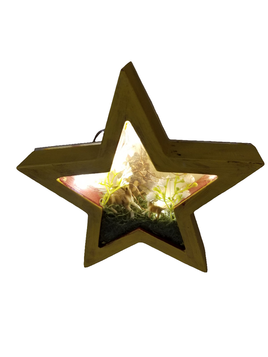 Star shadow box with lights