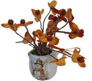 Mini white Pitchers - The Creative Shed - The Creative Shed - Mini white Pitchers - 